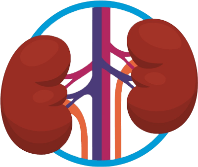 Renal Complaints
                